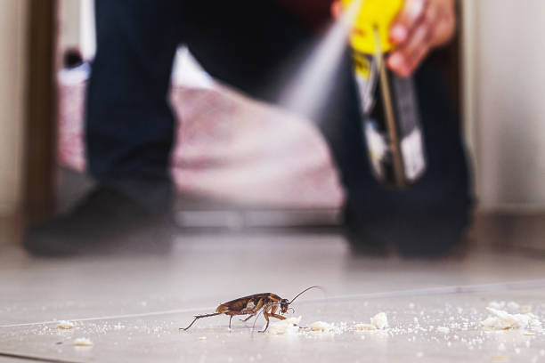 Best Residential Pest Control  in USA